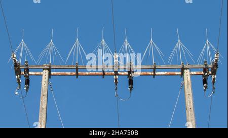 Concrete power pylons equipped with bird spikes. Some species nest and cause damages Stock Photo