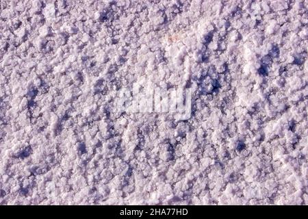 Salt crystals on a pink salt lake. Texture of salt crystals. Stock Photo