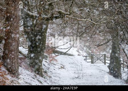 The Goyt Valley in the Derbyshire Peak District in winter snow. Stock Photo