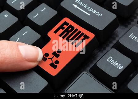 Text sign showing Fruit. Business concept sweet and fleshy product of a tree or other plant that contains seed Downloading Online Files And Data Stock Photo