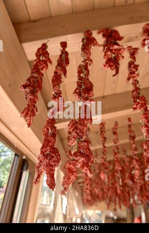 Bunches of dried red peppers are suspended from the ceiling. Peperoni cruschi is an air-dried crunchy pepper used as spice in the Basilicata kitchen i Stock Photo