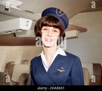 1960s SMILING PORTRAIT OF AIRLINE STEWARDESS IN AIRPLANE AISLE LOOKING T CAMERA - a7292c HAR001 HARS LADIES PERSONS WINGS PROFESSION CABIN CONFIDENCE TRANSPORTATION EYE CONTACT SKILL OCCUPATION HAPPINESS SKILLS HEAD AND SHOULDERS ADVENTURE CUSTOMER SERVICE CAREERS WORKPLACE AVIATION OCCUPATIONS SMILES STYLISH AVIATORS ATTENDANT COMMERCIAL AVIATION FLIGHT ATTENDANT MID-ADULT MID-ADULT WOMAN STEWARDESS CAUCASIAN ETHNICITY HAR001 OLD FASHIONED Stock Photo