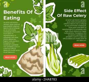 Side effects and benefits of eating celery, pros and cons including ingredient in menu. Positive and negative, dieting and nutrition, vegetarian and v Stock Vector