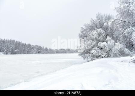 Winter forest landscape, snowy ice river during snowstorm for background. Scenic view of riverbank trees under snow. Concept of seasonal weather, Sibe Stock Photo