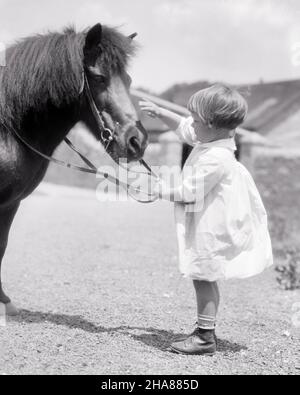 1920s CHARMING LITTLE BLOND GIRL WEARING WHITE COTTON DRESS HOLDING A FARM PONY’S REINS PETTING ITS NOSE - h1684 HAR001 HARS FARMING PONY CONFIDENCE B&W REINS HAPPINESS MAMMALS ADVENTURE DISCOVERY HIS CHOICE FARMERS RECREATION PETTING FEARLESS CONNECTION CONCEPTUAL CURIOUS FRIENDLY GROWTH JUVENILES MAMMAL TOGETHERNESS BLACK AND WHITE CAUCASIAN ETHNICITY HAR001 OLD FASHIONED Stock Photo