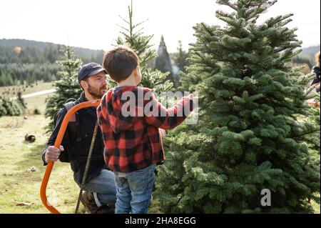 Father holding saw and looking at christmas Tree with boy Stock Photo