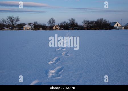 Footprints in the snow. Beautiful image of a village on a large snow covered field. Stock Photo