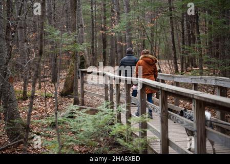 A family crosses a bridge while hiking through the woods in New Hampshire. Stock Photo