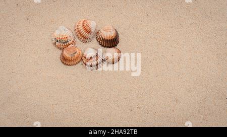 Background grains of sea sand, fine beach sand. Stock Photo