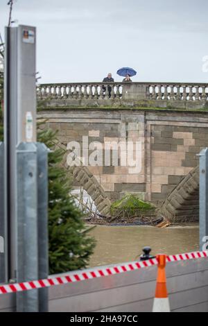 Bewdley, UK. 11th December, 2021. Flood barriers have been installed again in Bewdley as river levels are on the rise. A couple look from the bridge sheltered under a brolly from the rain, watching the tree debris floating down the river, getting trapped by one of the bridge pillars.  Credit: Lee Hudson/Alamy Live News Stock Photo