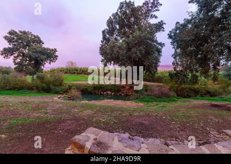 Sunset view of the Jordan River with eucalyptus trees and clouds. Northern Israel Stock Photo