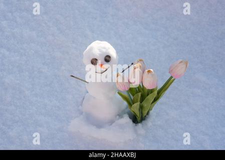 Snow man with spring flowers tulips. Funny snowman on snowy field. The morning before Christmas. Stock Photo