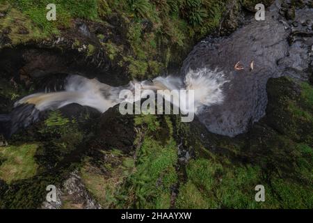 Aerial flying drone Beautiful landscape early in Autumn image of Pistyll Rhaeader waterfall in Wales with man and dog swimming in pool Stock Photo
