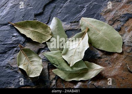 bay leaves from above on stone surface Stock Photo