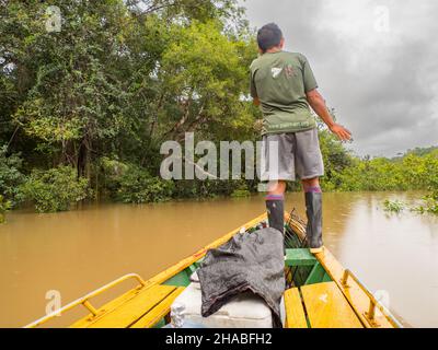 Tropical Rainforest: Green Jungle Landscape with Rain and Fog. Forest Hill  with Majestic Tree in Santa Marta, Colombia. Green Wood, Rainy Day.  Mountain Birdwatching in South America. Royalty-Free Stock Image -  Storyblocks