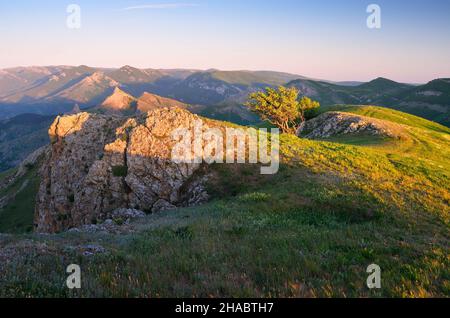 Morning landscape with lonely tree and the first rays of the sun. The mountains in the morning. Crimea, Ukraine, Europe Stock Photo