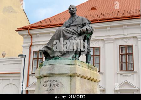 Statue of Felsoszopori Szily Janos catholic bishop in Szombathely, Hungary Stock Photo