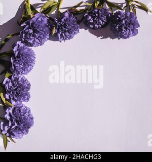 Frame made of beautiful purple peonies and blossoms on pink background. Greetings card for a love message, for a wedding with copy space. Trendy color Stock Photo
