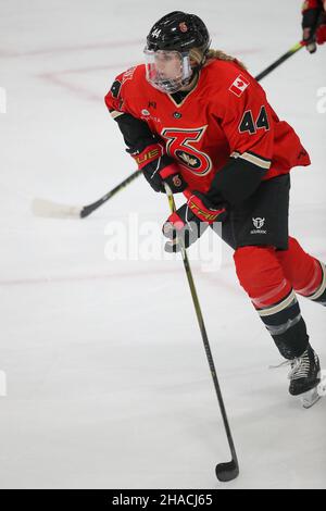 Dec 11, 2021, Toronto Ontario, Canada, York Canlan Ice Arena  - The Toronto Six defeat the Metropolitan Riveters 2-1 In PHF regular season action. Lin Stock Photo