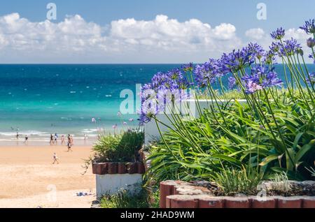 Piquio garden, a park in Santander, Spain, next to Sardinero Beach Stock Photo