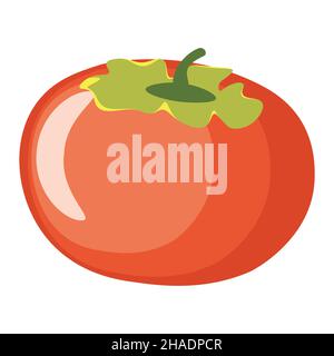Delicious bright orange ripe persimmon fruit illustration. Stock Vector
