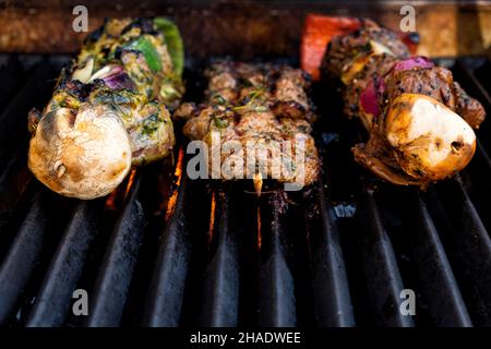 Grilled meat skewers ready on a bbq gas grill shot from the front Stock Photo