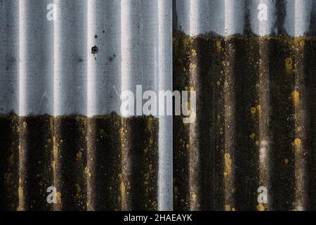 Slate sheets, partially covered with mold and fungus. Visual comparison of new and old darkened and dirty schist roof. Stock Photo