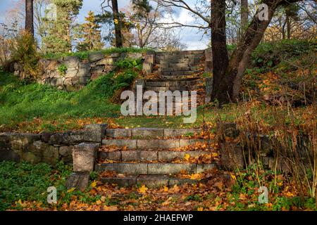 Stone steps with fallen leaves on a clear autumn day Stock Photo