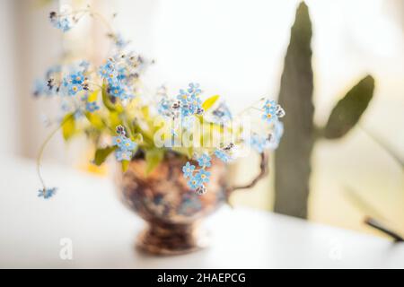 Vintage still life of forget-me-nots  flowers. Gentle floral muted meadow flowers background. Stock Photo