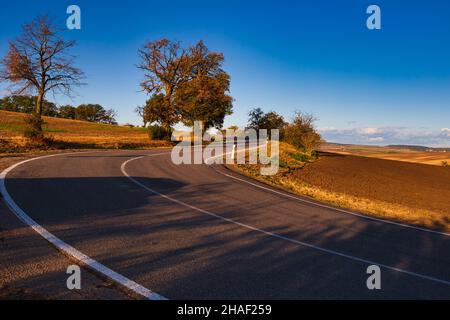 Asphalt road with bends between fields and trees at sunrise, South Moravia, Czechia Stock Photo