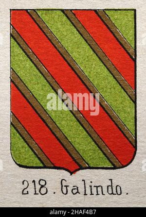 Galindo heraldry, Illustration of a coat of arms, Green red gold stripes, Heraldric symbols Stock Photo