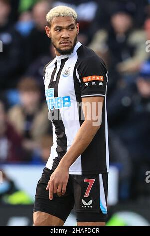 Joelinton #7 of Newcastle United during the Premier League match