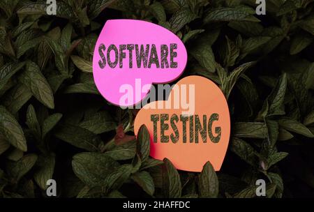 Inspiration showing sign Software Testing. Word for investigation provide information about the quality of it Heart Shaped Paper On Top Of Outdoor Stock Photo