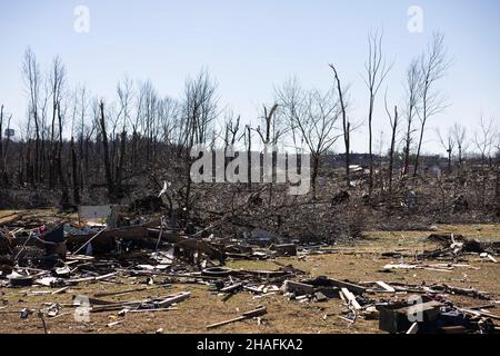 Dawson Springs, United States. 12th Dec, 2021. Trees are destroyed after a tornado tore through rural Kentucky. Multiple tornadoes touched down in several midwestern states late Friday evening causing widespread destruction and leaving an estimated 70-plus people dead. Credit: SOPA Images Limited/Alamy Live News Stock Photo