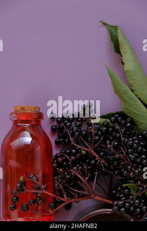 Elderberry syrup.Sambucus berries. red syrup in a bottle and bunches of elderberries on a purple background.Elderberry branches. Stock Photo