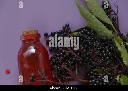 Sambucus syrup.Elderberry syrup.Sambucus berries. red syrup in a bottle and bunches of elderberries on a purple background.Elderberry branches.Ripe Stock Photo