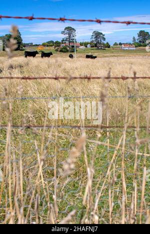Farmland near Millthorpe, NSW Stock Photo