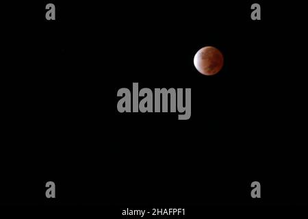 Lunar eclipse - November 19, 2021  /  Eclipse Lunar - 19 de noviembre de 2021 Stock Photo