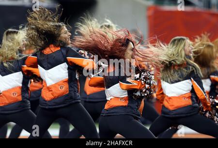 Pittsburgh Steelers fans cheer for their team against the Cincinnati Bengals  during the second half of play at Paul Brown Stadium in Cincinnati, Ohio,  December 13, 2015. Photo by John Sommers II/UPI