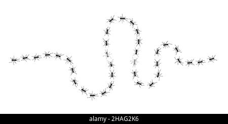 Worker ants trail line flat style design vector illustration isolated on white background. Stock Vector