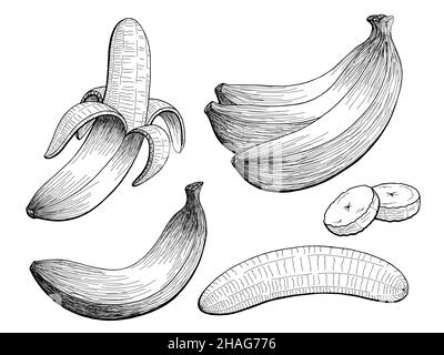 Outline sketch monochrome banana. Black and white elegant contour of the  fruit. Drawing for coloring and design packaging for juices, diet food.  Stock Vector | Adobe Stock