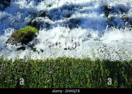 Water splashing in river flow, clear drinking water on the source Stock Photo