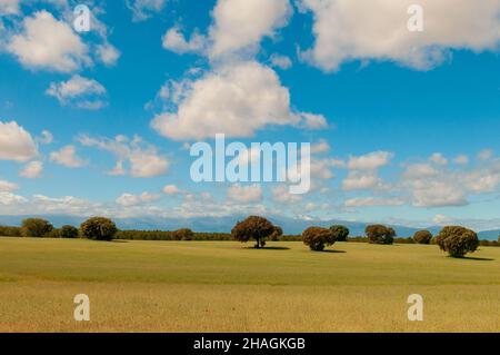 Last steppes in the fields of Granada Stock Photo