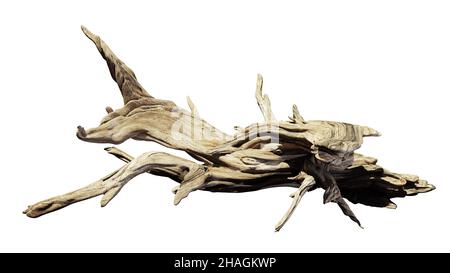 driftwood, old branch isolated on white background Stock Photo