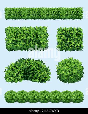 Green shrub. Realistic garden plants different geometric forms ornament fence decoration decent vector shrubs collection set Stock Vector