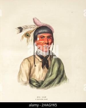 NO-TIN. A CHIPPEWA CHIEF., from History of the Indian Tribes of North ...