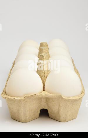 Ten chicken eggs lie in two rows in a cardboard tray. The tray lies obliquely Stock Photo