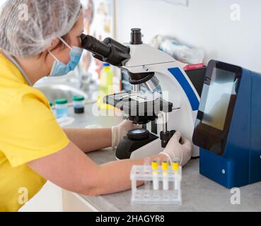 Female veterinarian working with analyzes in vet laboratory Stock Photo