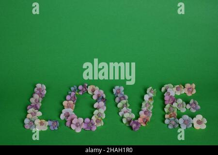 The word LOVE is lined with letters on a clean green background with colorful flowers at the bottom of the frame. Above there is a place for text Stock Photo