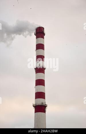 Steaming striped chimney of a plant or factory on a sky background Stock Photo